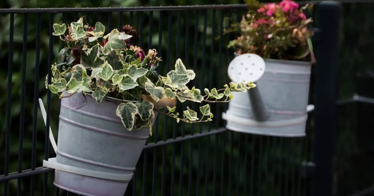Small planters hanging on a garden railing