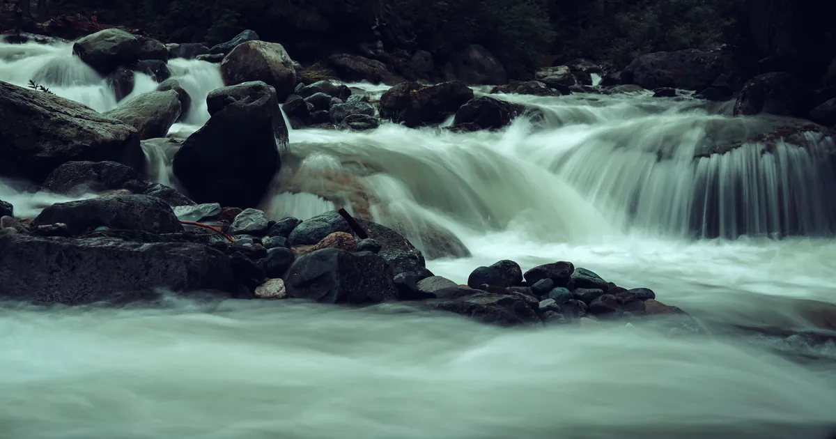 A rocky forest stream with rapids, the running water where black fly larvae grow