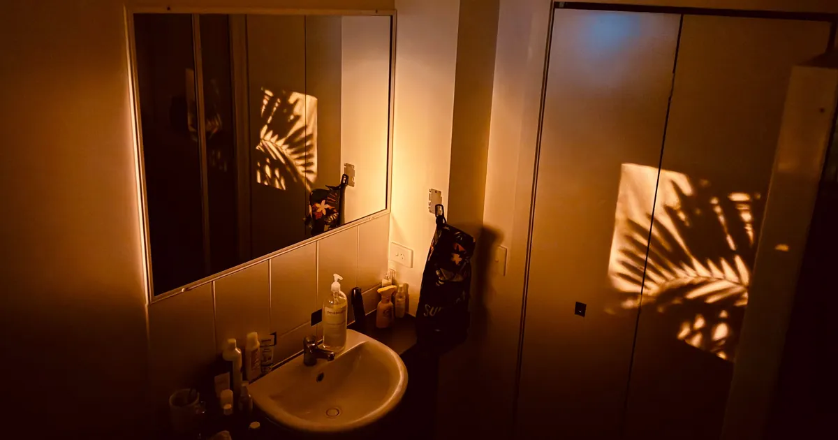 A bathroom mirror in warm morning light, where most people put repellent on their face