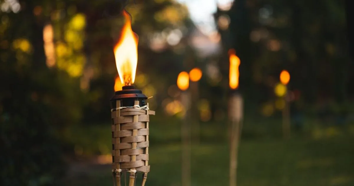 Lit torches along a garden path in the evening