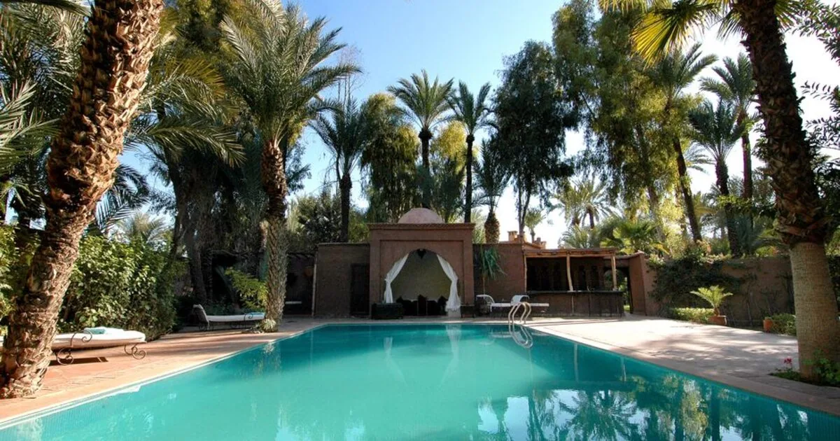 A tropical resort pool ringed by palm trees