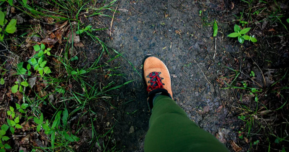 Hiking boots and rolled socks resting on a log at a wooded trailhead, sunlit trail stretching into the trees behind them
