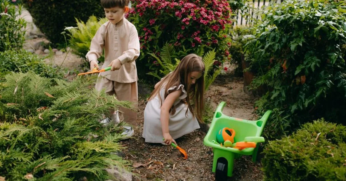 Two children gardening among shrubs and flowers