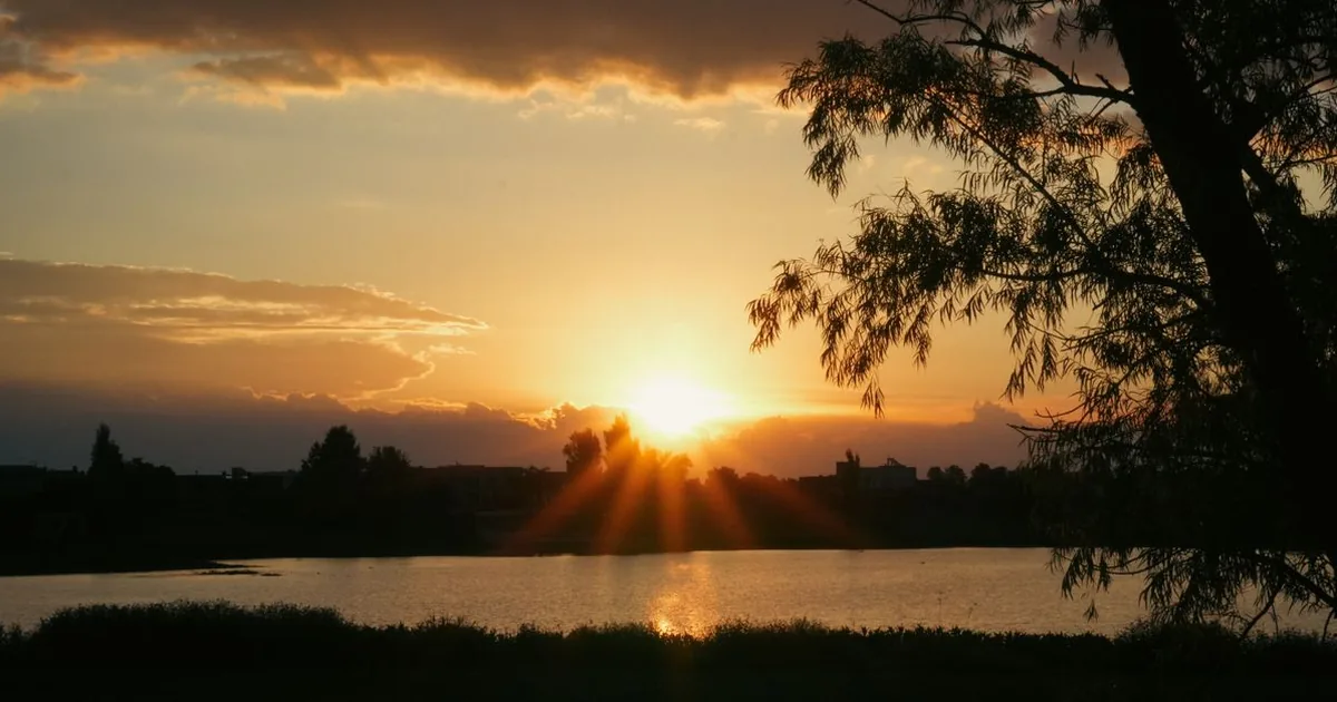 The sun setting over a still lake with brush along the shoreline at dusk
