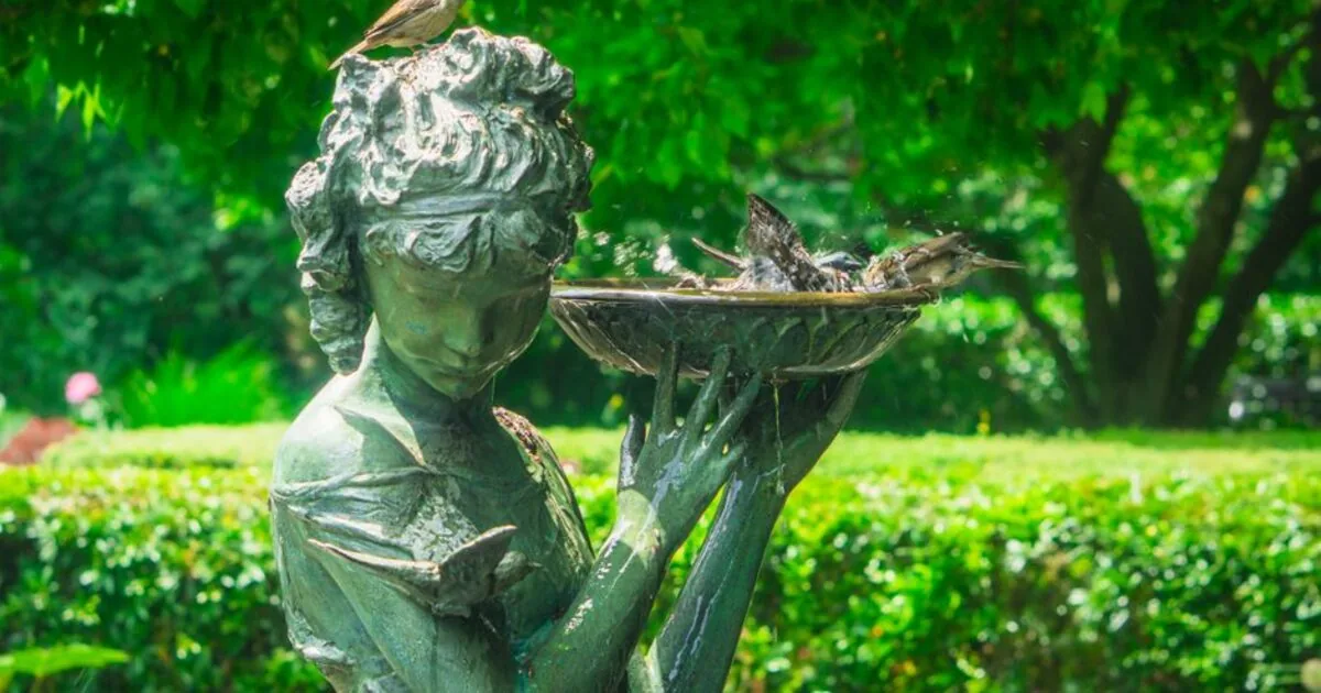 A stone birdbath holding water in a green garden